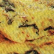 Spanish Omelette