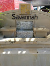 Savannah Water Feature 
