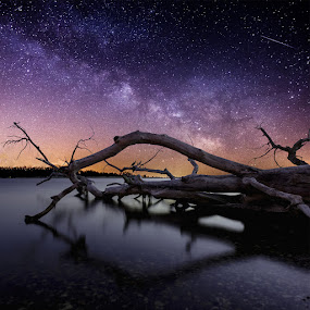 Chaos by Aaron Groen - Landscapes Nightscapes ( water, pwcstars, waterscape, stars, meteor, night, milky way stars, starscape, dead tree, milky way )