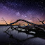 Chaos by Aaron Groen - Landscapes Nightscapes ( water, pwcstars, waterscape, stars, meteor, night, milky way stars, starscape, dead tree, milky way )