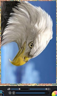 How to download AirBrush Paint patch apk for pc