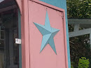 Star Door Mural