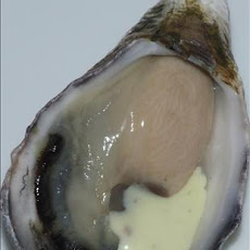 Fire and Ice Oysters with Horseradish Sauce