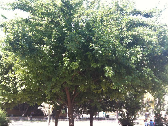 Spotting Image 1