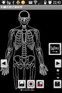 How to install Skeletology (Nagomi) 2D lastet apk for laptop