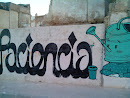 Graffiti Regadera