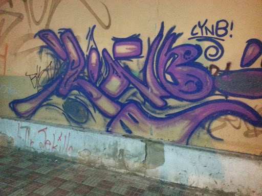 Vaneggio Graffiti