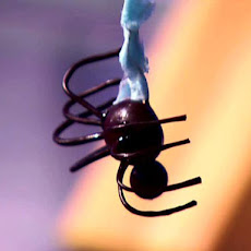 Dark Chocolate Hazelnut BonBon Spiders