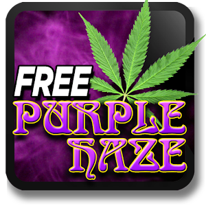 Download Marijuana Live Wallpaper Purple Haze FREE For PC Windows and Mac