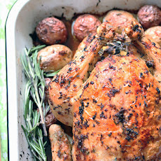 Lemon Rosemary Roasted Chicken and Potatoes