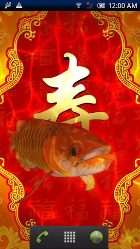 開運龍魚★長寿