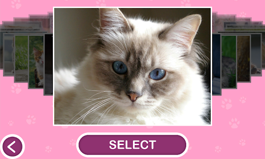 How to download Cats - Jigsaw Puzzles 1.14.0 apk for laptop