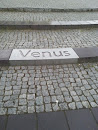 Venus Platte