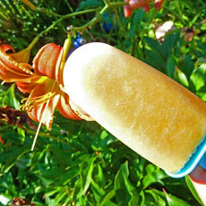 Mandarin Orange-Coconut Freezer Pops