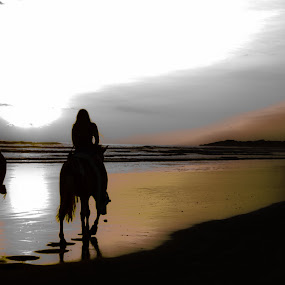 by Tom Gwinn - Fine Art People