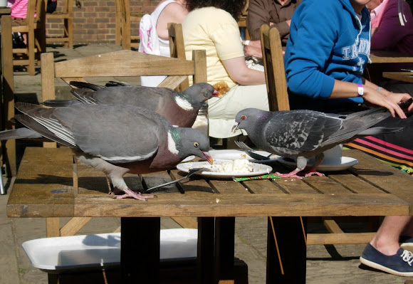Spotting Image 1