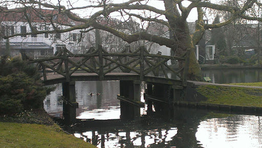 Old Tree Bridge