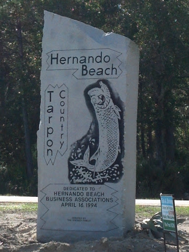 Hernando Beach Tarpon