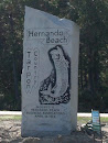 Hernando Beach Tarpon