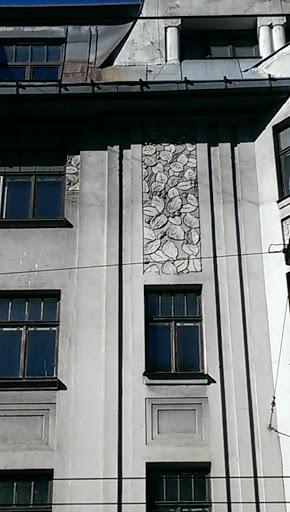 Leaves On The Building
