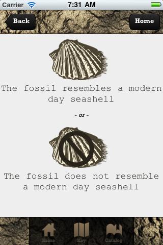 Fossilator