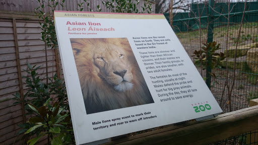Asian Lion Enclosure