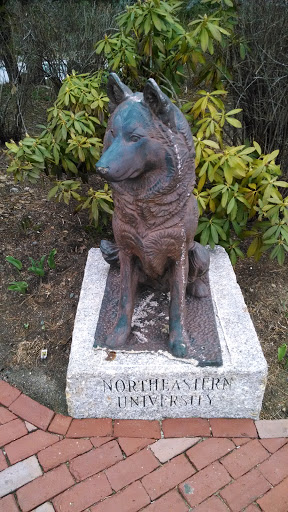 Northeastern University Wolf At The Warren Conference Center 
