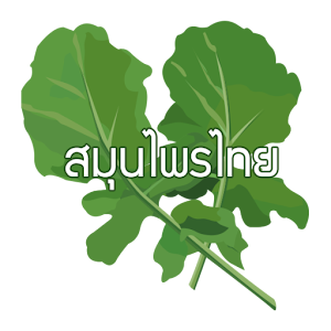 สมุนไพรไทย - 220+ ชนิด.apk 2.5.1