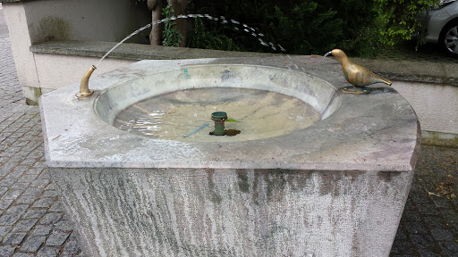 Fountain Bird