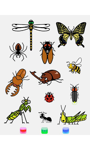 pi-bo Illustrated Bug Book