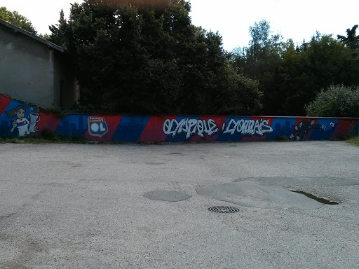 Fresque Olympique Lyonnais