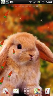 How to mod Rabbit Live Wallpaper 1.0.8 unlimited apk for android