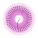 Pregnancy Disc mobile app icon