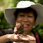 Philippine tarsier