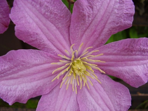 Spotting Image 1