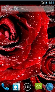 How to download Rose Live Wallpaper 1.1 mod apk for android