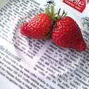 Garden strawberry