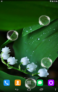 How to get May-lily Live Wallpaper patch 1.1.1 apk for android