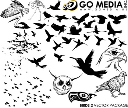 Birds Vector Package 2 by GoMedia