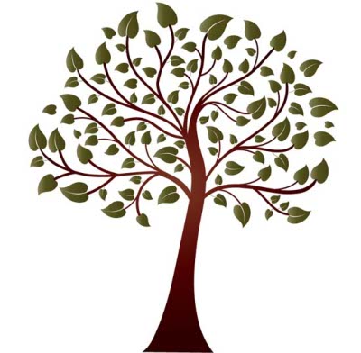 shutterstock_10835707 Some vector trees.