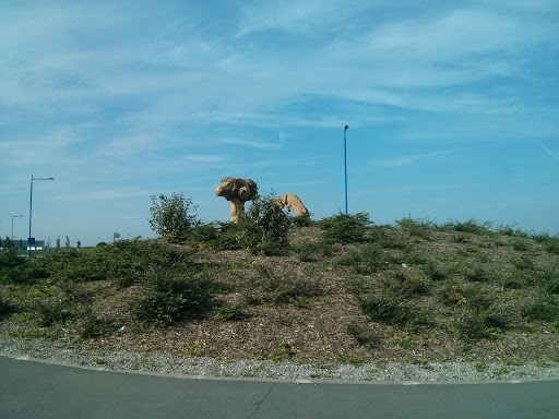 Rond Point De Brebieres 