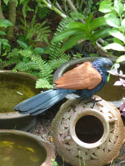 Spotting Image 1