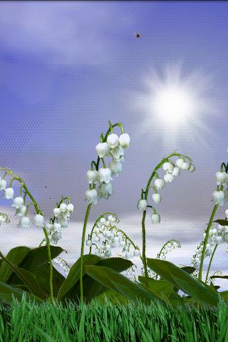 Lily of the Valley Wallpaper