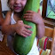 Zucchini 