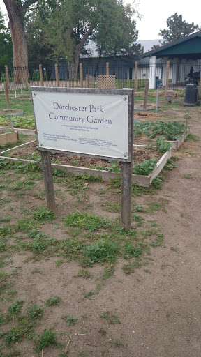 Dorchester Park Community Garden 