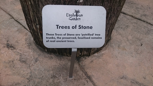 Trees Of Stone