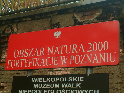 Tablica Fortyfikacje W Poznaniu