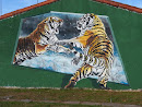 Mural Tigres 