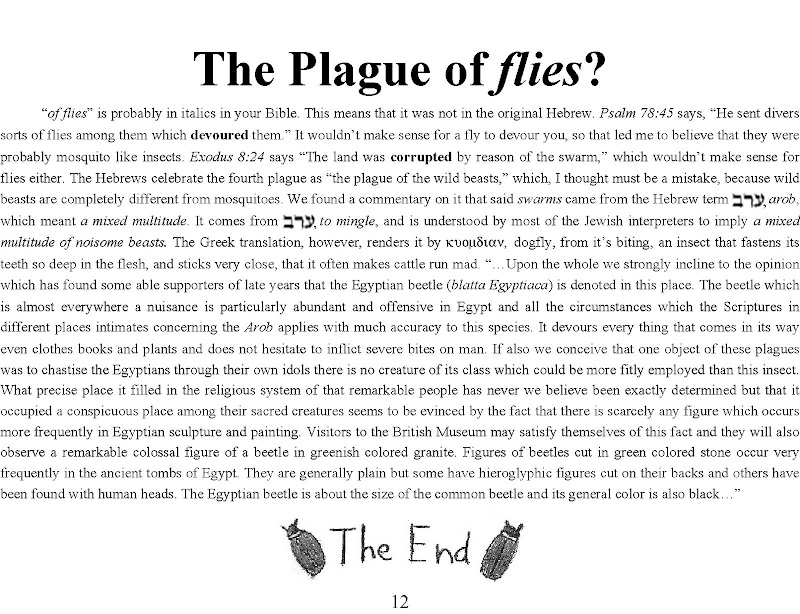 10 Plagues Book