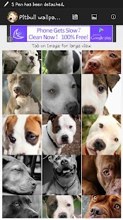 How to install Pit bull wallpaper 2015 1.0 apk for android